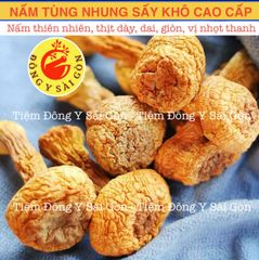 Nấm Tùng Nhung 100gram HÀNG TỰ NHIÊN (Nấm quý nấu canh dưỡng sinh, lẩu nấm, phục hồi sức khỏe)