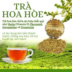 Combo 150 túi Lọc Trà Hoa Hòe Đặc Sản Thơm Vị Ngọt Dễ Uống Tiện Lợi - Deal Hời Uống 5 Tháng