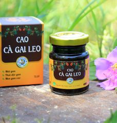 Cao Cà Gai Leo Hỗ Trợ Bổ Gan – Giải Pháp Tự Nhiên Cho Người Bị Viêm Gan, Men Gan Cao – Sản Phẩm HTX Tĩnh Sáng Đường Việt Nam