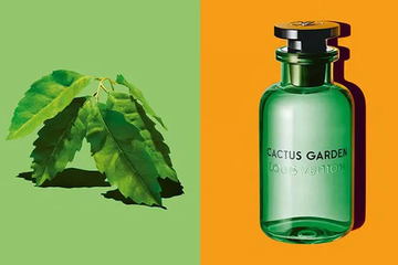 (Cao cấp) (CHIẾT) Nước Hoa Unisex Louis Vuitton LV Cactus Garden EDP Chính hãng