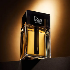 (Cao cấp) (FULL) Nước Hoa Nam Dior Homme Intense Eau De Parfum (EDP) 100ml Chính hãng