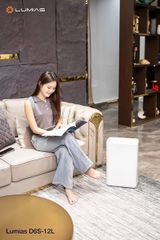 Máy hút ẩm 12L Lumias D6S-12L