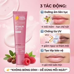 Son Dưỡng Môi Chống Nắng Cancer Council Lip Balm SPF50+ Raspberry 15g Chống UV Dưỡng Ẩm