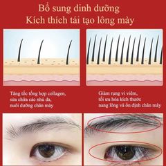 Serum Hỗ trợ Dưỡng, thúc đẩy Lông mày Râu Tóc- Hỗ trợ lông mày râu tóc dày đẹp tự nhiên
