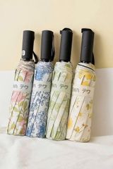 Ô tự động với 24 nan Tewa Japan