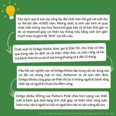 Viên uống tuần hoàn não, bổ não Ginkgo Biloba 120mg Puritan's Pride