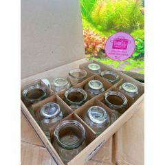 Bộ 12 ống giác hơi thủy tinh - Bộ 12 ống giác hơi thủy tinh Cao Cấp