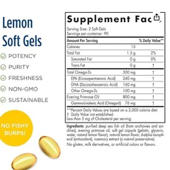 Nordic Naturals Balanced Omega – 180 Soft Gels (Nordic Naturals Ultimate Omega)