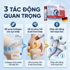 CH Alpha Plus 30 Ống Collagen Peptides Vitamin C Rosehip Hỗ Trợ Bổ Sung Dưỡng Chất Cho Sụn Khớp