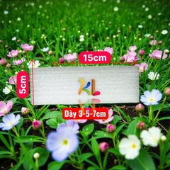 sỉ 50 Miếng Xốp dẻo xốp foam 5cmx15cm dày 3-5-7cm  cốt xốp dùng cắm 1-5 bông Hoa sáp .hoa nhũ .hoa khô hoa lụa