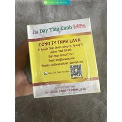 [Chính Hàng] Trà Dây Thìa Canh Lava Hộp 30 gói Hỗ trợ tiểu đường