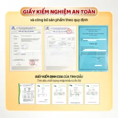 XỊT KHỬ MÙI & KHỬ KHUẨN CHÓ MÈO LOCOPET khử TẬN GỐC mùi hôi khai, hỗ trợ đi vs đúng chỗ | Sả Trà Xanh