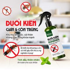 Combo 2 bình Xịt Thơm Tinh Dầu Đuổi Kiến Ba Khoan, Gián và Côn Trùng đuổi Kiến Gián Khử Mùi