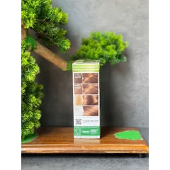 Nhuộm tóc Garnier Nutrisse màu số 6 659457