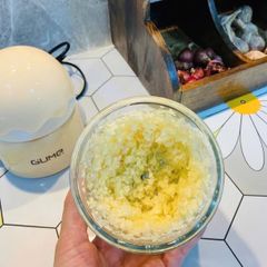 Máy xay tỏi ớt GUME GM-2212