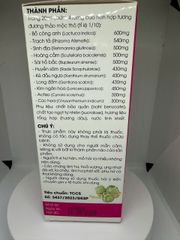Mát Gan Thanh Nhiệt Phước An, 280 ml, Giúp giải độc, giảm mụn nhọt, vàng da, nóng gan
