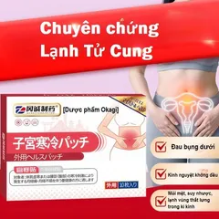 10 Miếng Dán Thảo Mộc Miyakan Nhật, Làm Ấm Tử Cung, Hết Đau Bụng Kinh, Ớn Lạnh Lưng... CHE TÊN KHI GIAO