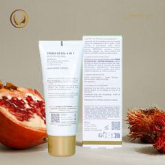 Kem chống nắng 4 trong 1 (da hỗn hợp, da dầu) DermEden Day Protocole 4 In 1 Day Cream Global Action 50ml