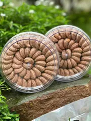 Hạt Điều Rang Muối Tâm An Food 500g - Hạt Điều Béo Bùi Tự Nhiên Nguyên Chất, Snack Thơm Ngon, Dinh Dưỡng Tốt