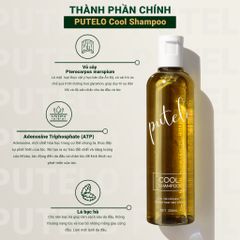 Dầu gội lạnh giảm rụng nhanh chóng, kích thích mọc tóc nhanh PUTELO Cool Shampoo chăm sóc tóc chuyên sâu từ NHẬT 250ml từ NHẬT