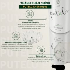 Dầu gội bọt mịn cho tóc rụng, kích thích mọc tóc nhanh, phồng chân tóc, tái sinh da đầu PUTELO AR Shampoo 300g