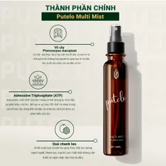 Xịt dưỡng tóc và da đầu 24h, bảo vệ, cấp ẩm, phục hồi tóc – Putelo Multi Mist 145ml – Chính hãng Nhật Bản
