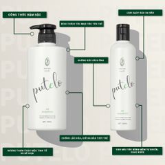 Dầu gội bọt mịn cho tóc rụng, kích thích mọc tóc nhanh, phồng chân tóc, tái sinh da đầu PUTELO AR Shampoo 300g