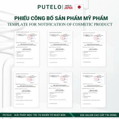 Dầu gội lạnh giảm rụng nhanh chóng, kích thích mọc tóc nhanh PUTELO Cool Shampoo chăm sóc tóc chuyên sâu từ NHẬT 250ml từ NHẬT