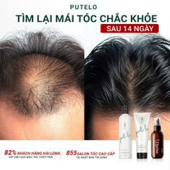 Bộ dầu gội lạnh & xả thực vật, trẻ hóa da đầu, giảm rụng, hỗ trợ mọc tóc – Putelo AR – Chính hãng Nhật Bản