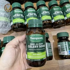 Viên uống giảm đau nhức khớp, giảm đau góut Thompson’s One-A-Day Celery 5000mg 60 viên