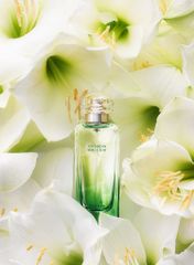 (Chiết 10ml) Nước Hoa Unisex Hermès Un Jardin Sur Le Nil EDT Spray Chính Hãng 672057