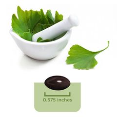 Viên uống bổ não ginkgo biloba 120mg 340 viên của mỹ