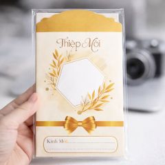 Mẫu thiệp mời CT007-CT010