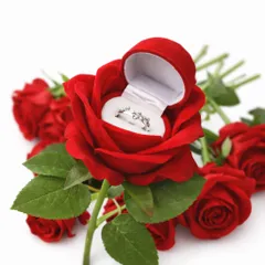 Hoa hồng nhung đựng nhẫn cưới trong ngày kỉ niệm
