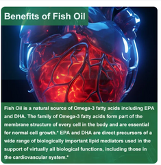 (60 viên) Viên nang dầu cá Coolkin OMEGA 3 giàu DHA & EPA cho trái tim khỏe mạnh Tăng cường trí não Cải thiện trí thông minh Cải thiện sức khỏe tim mạch