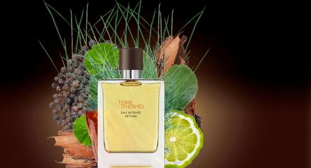 (Nhập khẩu) Nước Hoa Hermes Terre D'Hermes Eau Intense Vetiver 673105