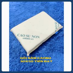 Gối cao su vàng Tiến Đạt cao cấp 50x30 - Chất Lượng Cao Không Lún - Đàn Hồi Tốt