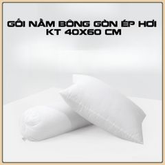 Ruột Gối Gòn Gối Nằm Gối Ôm Tiêu Chuẩn Khách Sạn 3* gối nằm 40x60 cm & ôm 35x100 cm