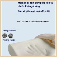 Gối Cao Su Non Chống Ngáy Chống Đau Mỏi Vai Gáy Mềm Mại Êm Ái - Cao Su TỰ NHIÊN-Gối cao su non chống ngáy