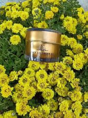 (Nhập khẩu) Kem Face Collagen X3 Chính hãng