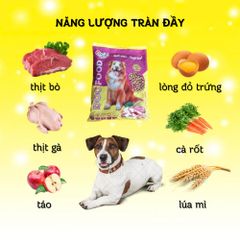 [900g] Hạt Cho Chó Orio - Thức Ăn Cho Chó Trưởng Thành - Hạt Cho Chó Lớn Túi 450g