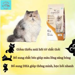 Hạt Cho Mèo Cuncun Cat - Hạt Mèo Không Độn Ngũ Cốc - Thức Ăn Cho Mèo Kén Ăn Túi 1.2kg