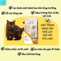 Hạt Cho Mèo Cuncun Cat - Hạt Mèo Không Độn Ngũ Cốc - Thức Ăn Cho Mèo Kén Ăn Túi 1.2kg