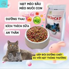 Hạt Cho Mèo WinCat - Thức Ăn Cho Mèo Bầu - Hạt Dinh Dưỡng Cho Mèo Đang Mang Thai Nuôi Con Túi 800g