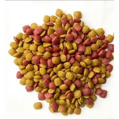 Hạt Cho Mèo WinCat - Thức Ăn Cho Mèo Bầu - Hạt Dinh Dưỡng Cho Mèo Đang Mang Thai Nuôi Con Túi 800g