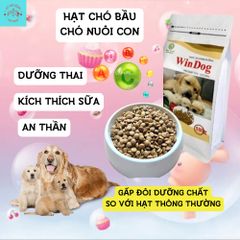 Hạt Cho Chó Bầu WinDog - Thức Ăn Cho Chó Mang Bầu Nuôi Con - Hạt Chó WINDOG PREGNANTTúi 800G