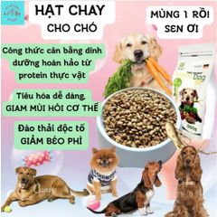 Thức Ăn Chay Cho Chó Ginseng Dog 86 túi 800g - Hạt Cho Chó WinDog Từ Rau Củ Quả - Thức Ăn Cho Chó Dinh Dưỡng Từ Thực Vật