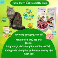 Thức Ăn Chay Cho Mèo Ginseng Cat 88 Túi 600g - Hạt Cho Mèo Wincat - Thức Ăn Cho Mèo Giảm Cân - Hạt Rau Củ Cho Mèo