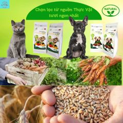 Thức Ăn Chay Cho Chó Ginseng Dog 86 túi 800g - Hạt Cho Chó WinDog Từ Rau Củ Quả - Thức Ăn Cho Chó Dinh Dưỡng Từ Thực Vật