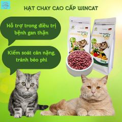 Thức Ăn Chay Cho Mèo Ginseng Cat 88 Túi 600g - Hạt Cho Mèo Wincat - Thức Ăn Cho Mèo Giảm Cân - Hạt Rau Củ Cho Mèo